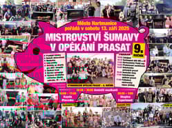 Plakat 2025