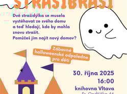 VLT ZATOULANI STRASIBRASI 30 10