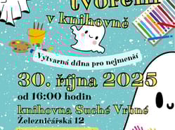 SV STRASIDELNE TVORENI 30 10