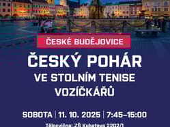 Český pohár