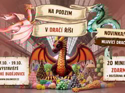 Dračí říše 169 (14)