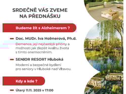 LID BUDEME ZIT S ALZHEIMEREM PREDNASKA 11 11