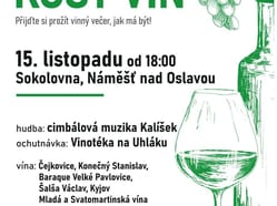 15 11  košt vín