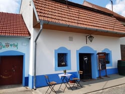 Řízená degustace Modrohorských vín