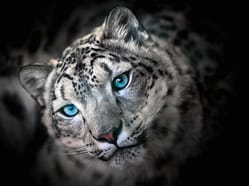 Fotografický kurz v českých Zoo s profíkem Patrikem Staňkem