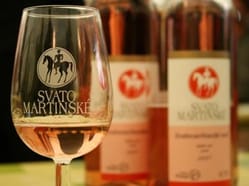 Svatomartinská vína v DEGUSTÁRNĚ