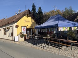 Svatomartinská ochutnávka vín