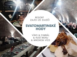 Svatomartinské hody