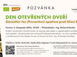 Simonitův řez (Preventivní opatření proti šíření ESCA)