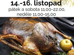 Husí hody a mladé víno na Skaláku