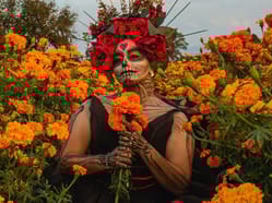 Día de los Muertos v Brně