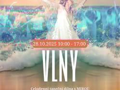 Vlny - celodenní taneční dílna s Mirou