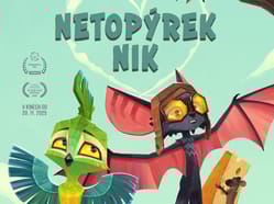 Netopýrek Nik