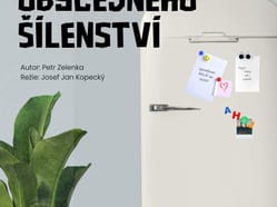 Příběhy obyčejného šílenství