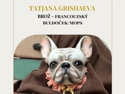 Jedinečný kurz: BROŽ - francouzský buldoček/mops