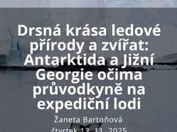 Drsná krása ledové přírody a zvířat