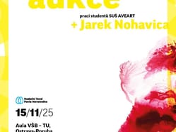 Benefiční aukce