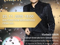 Představení Vladimíra Hrona One man show 