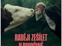 FILMOVÝ KLUB - Raději zešílet v divočině