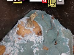 Perverzní kabaret