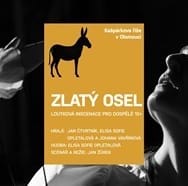 Zlatý osel