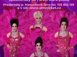 travesti Divoké kočky v PRAZE