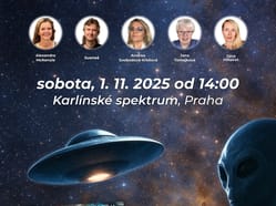 MIMOZEMŠŤANÉ a změna paradigmatu