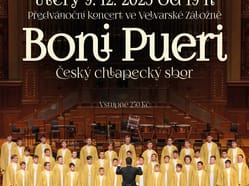 Boni Pueri - vánoční koncert ve Velvarské Záložně