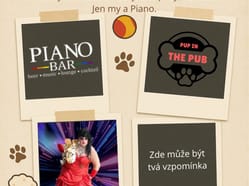 Pup in the Pub vol.10 - Tenkrát v PIANU