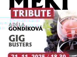 Slavnost vína 2025