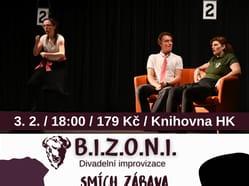 B.I.Z.O.N.I. / BIZONI - Zápas v divadelní improvizaci