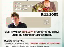 Adventní a vánoční show 2025