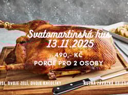 Svatomartinská  husa
