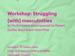Workshop: Struggling (with) masculinities