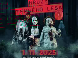 Hrůzy temného lesa