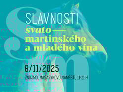 Slavnosti Svatomartinského a mladého vína ve Znojmě