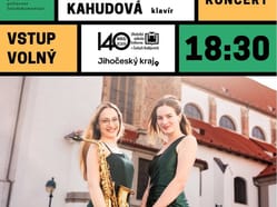 LID HUD KONCERT ANTRE DUO 07 11