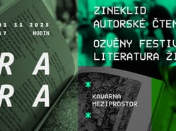 Zineklid event