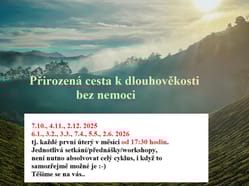 Ajurvéda