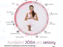 210x210 organy s