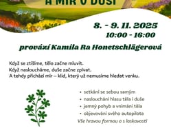 8  9 11  KAMCA MOUDROST TELA a KLID v DUSI 2