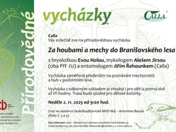 PV houby