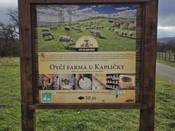 Ovčí farma U Kapličky