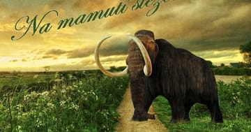 Venkovní úniková hra – Oživte mamuta a odhalte jeho tajemství