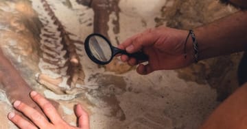 Úniková hra – Objevte tajemství dinosaurů v Plzni