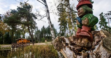 Venkovní úkrytová hra u Hradce Králového – Dobrodružství v kouzelném lese