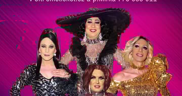 Travesti show Divoké kočky v Chodové Plané