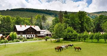 Penzion v Jeseníkách: snídaně, večeře i sauna
