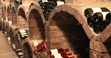 Řízená degustace Modrohorských vín – objevte kouzlo originálních vín VOC