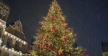 Nepovedená předehra adventu – vánoční strom v Ústí nad Labem nevydržel